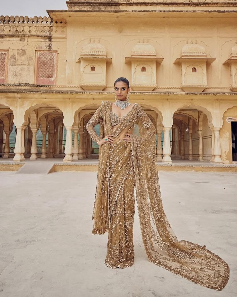 New Trending Bollywood Blockbuster Sequins Saree – Fresh Launch