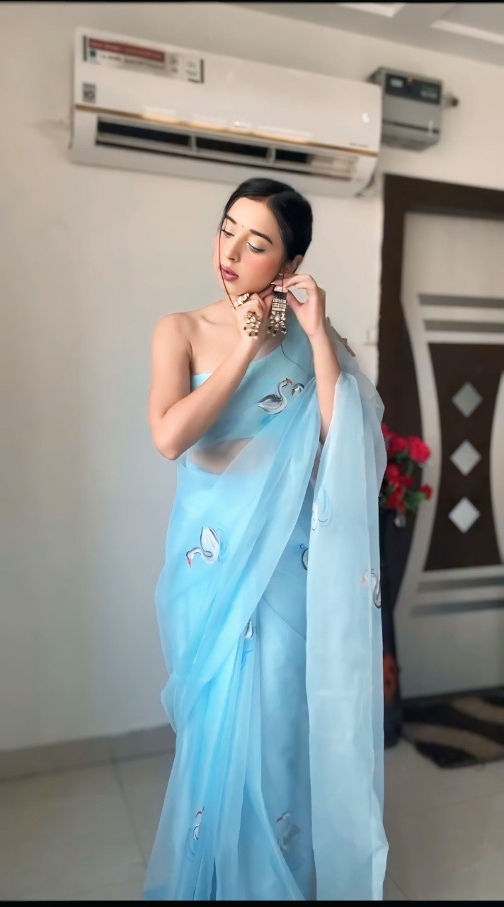 Sky Blue Grace Organza Saree
