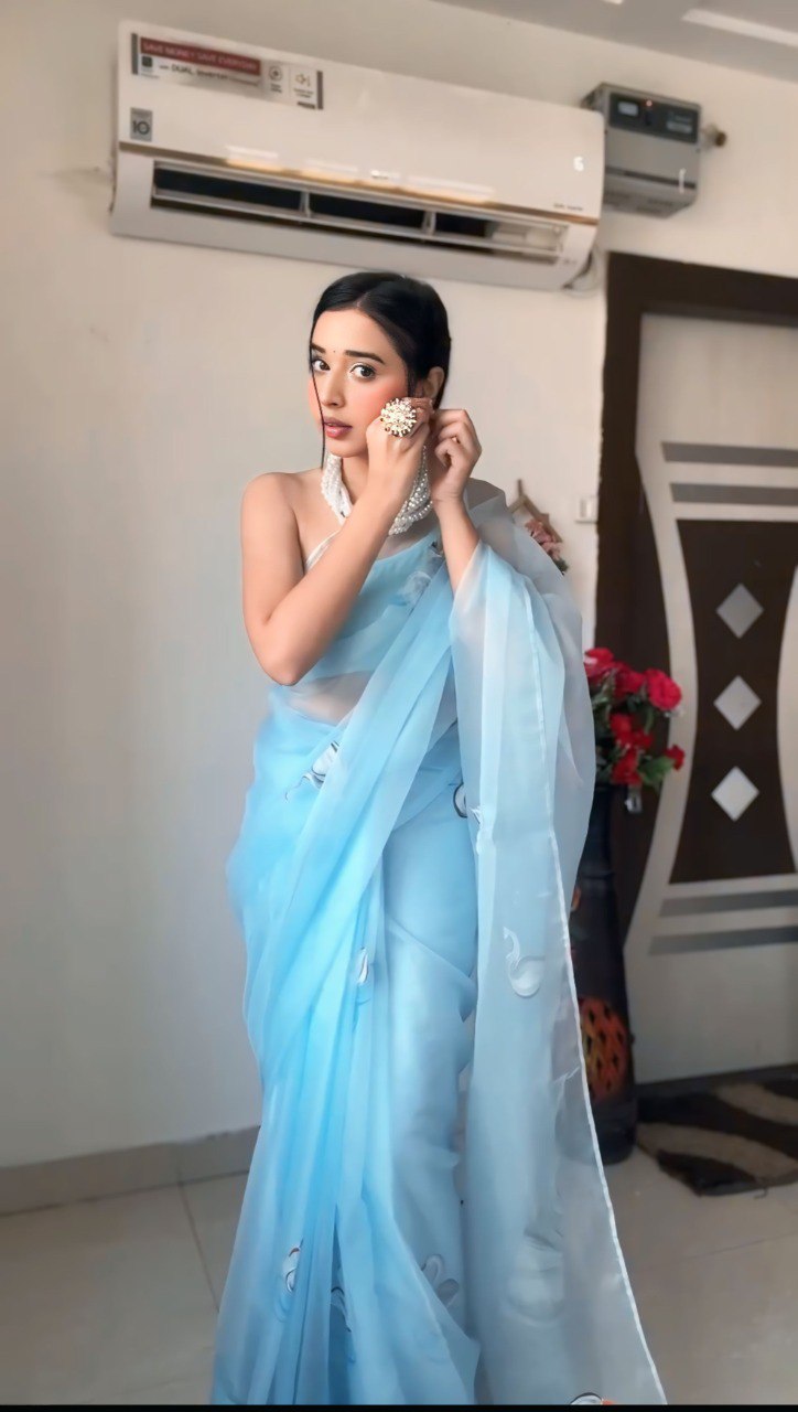 Sky Blue Grace Organza Saree