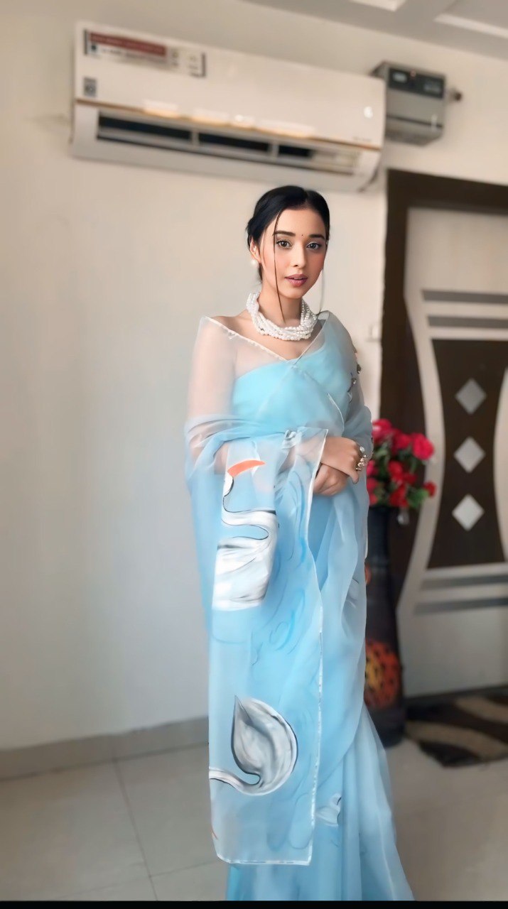 Sky Blue Grace Organza Saree