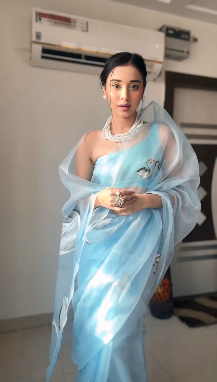 Sky Blue Grace Organza Saree