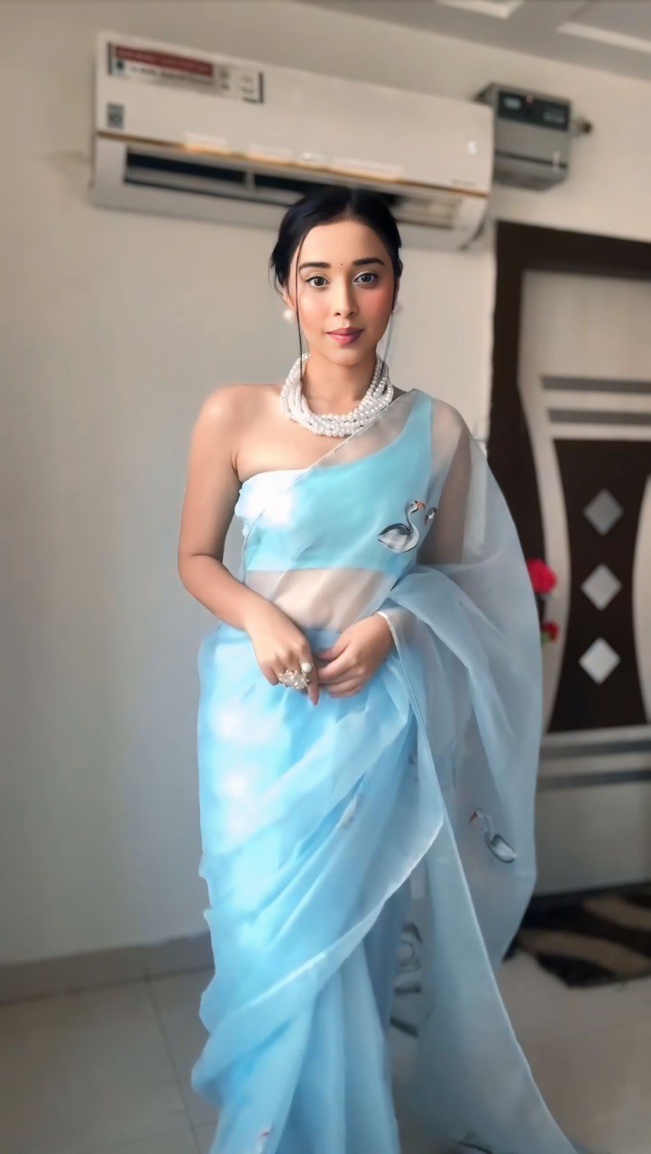 Sky Blue Grace Organza Saree