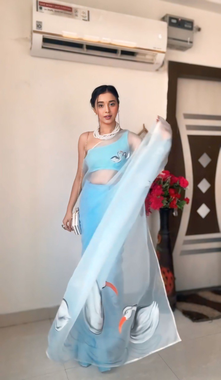 Sky Blue Grace Organza Saree